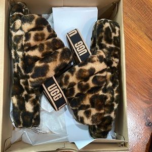 Uggs nwt